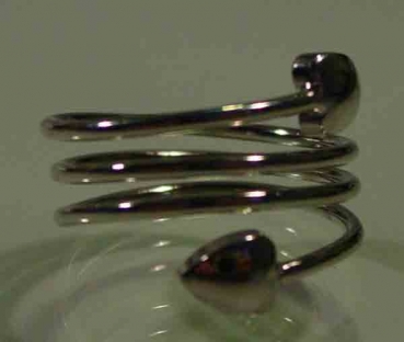Feng-Shui-Ring