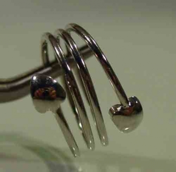 Feng-Shui-Ring