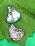 Abalone Muschel, Anh�nger