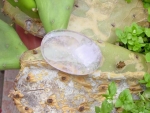 Daumenstein Amethyst Handschmeichler