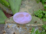 Daumensteine Rosenquarz Handschmeichler
